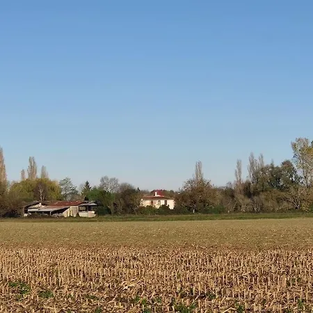 Ancient Priory With Pool, Jacuzzi And Lakes Holiday home Aulnay (Charente-Maritime)
