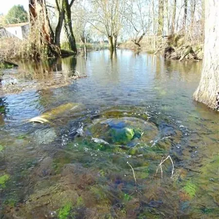 Ancient Priory With Pool, Jacuzzi And Lakes Holiday home Aulnay (Charente-Maritime)